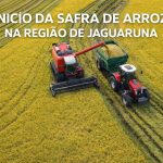 Inicio da colheita de Arroz na região de Jaguaruna