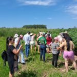 Curso fortalece protagonismo feminino na cadeia da mandioca em Sangão e Jaguaruna