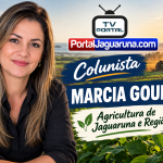 Estreia colunista Marcia Goulart falando sobre agricultura